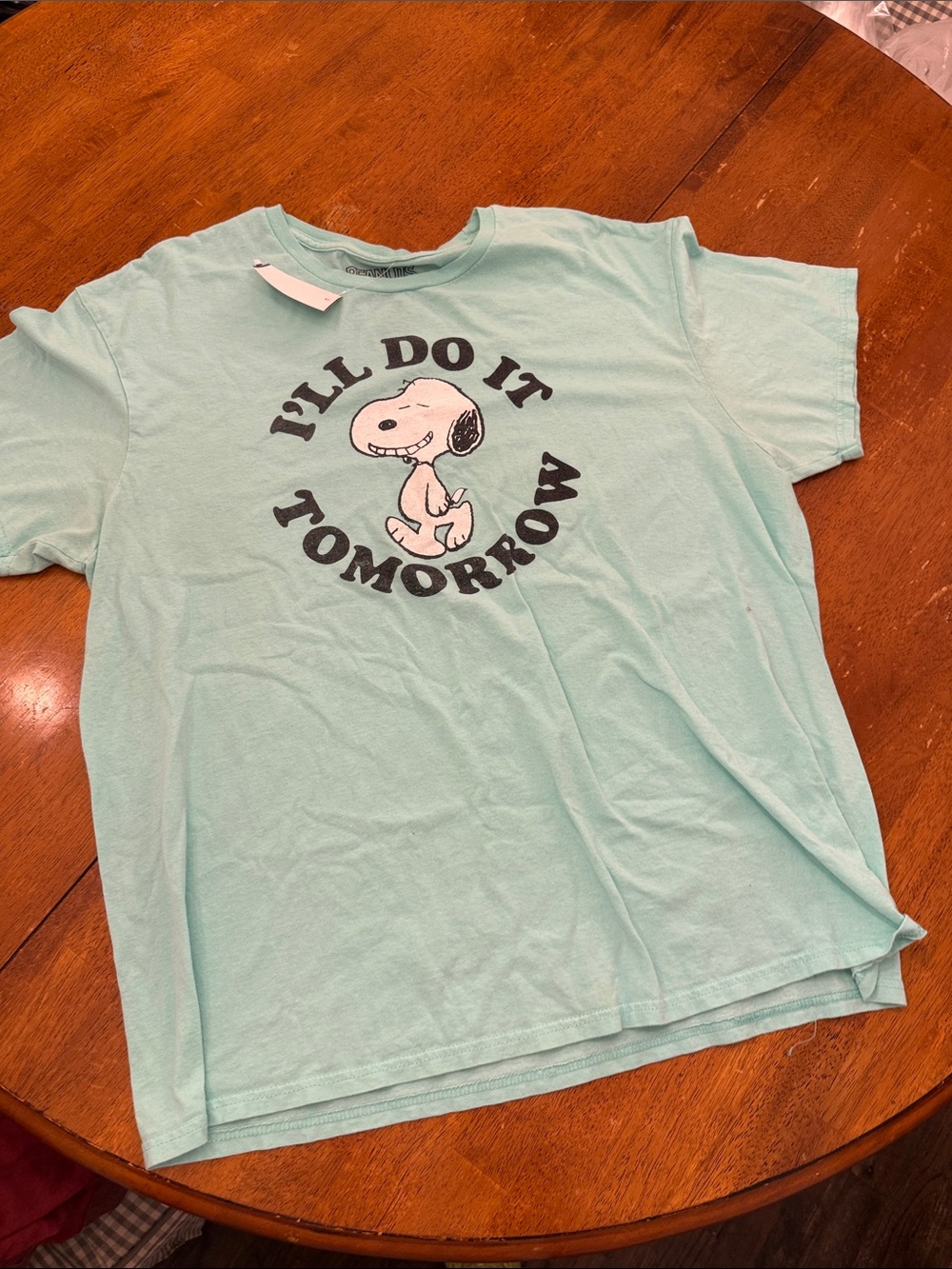 Peanuts Light Aqua Short Sleeve Tee with Snoopy "I'll Do It Tomorrow" Graphic xl